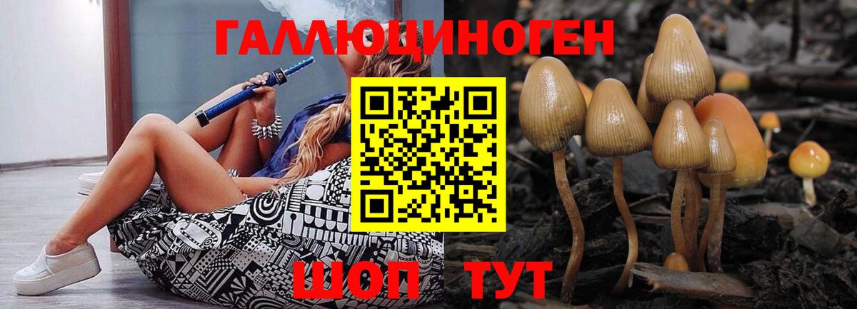 Псилоцибиновые грибы Cubensis  Галлюциногенные грибы MAGIC MUSHROOMS  Вход с VPN  Солнечногорск 